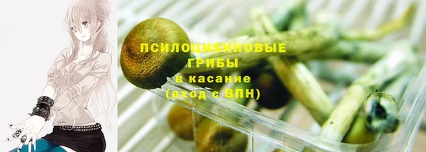 PSILOCYBIN Балахна