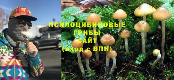 PSILOCYBIN Балахна