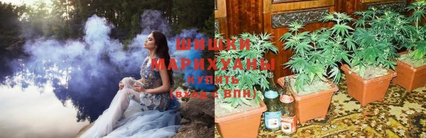 мяу мяу мука Беломорск